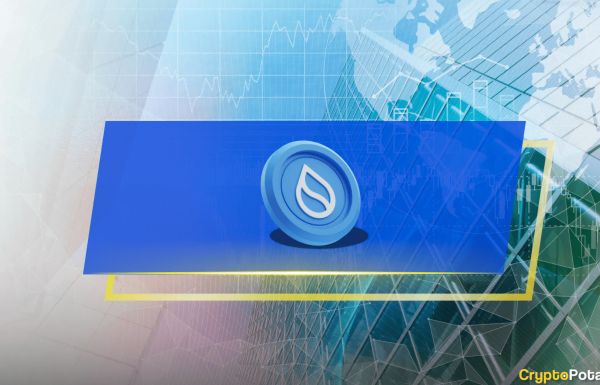What Is Sui Network (SUI): The Ultimate Guide in 2024