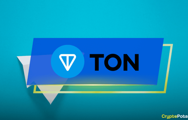 What Is The Open Network (TON): All You Need to Know in 2024
